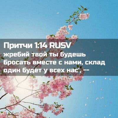 Picture 02 - Притчи 1:14 RUSV - жребий твой ты будешь - Bible Verse Picture