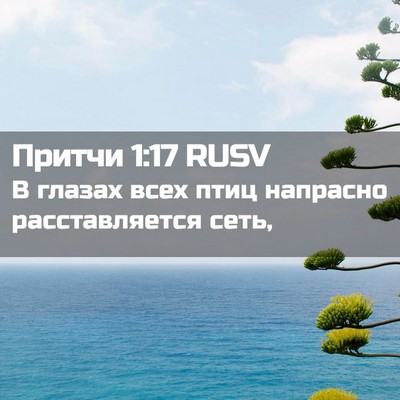 Picture 02 - Притчи 1:17 RUSV - В глазах всех птиц - Bible Verse Picture