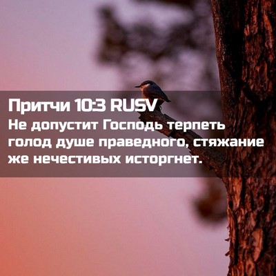 Picture 02 - Притчи 10:3 RUSV - Не допустит Господь - Bible Verse Picture