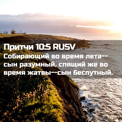 Picture 02 - Притчи 10:5 RUSV - Собирающий во время - Bible Verse Picture