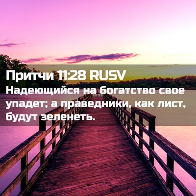 Picture 02 - Притчи 11:28 RUSV - Надеющийся на богатство - Bible Verse Picture