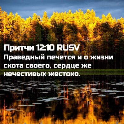 Picture 02 - Притчи 12:10 RUSV - Праведный печется и о - Bible Verse Picture