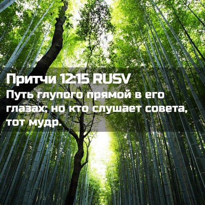 Picture 02 - Притчи 12:15 RUSV - Путь глупого прямой в его - Bible Verse Picture
