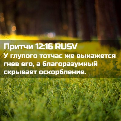 Picture 02 - Притчи 12:16 RUSV - У глупого тотчас же - Bible Verse Picture