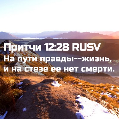 Picture 02 - Притчи 12:28 RUSV - На пути правды--жизнь, и на - Bible Verse Picture