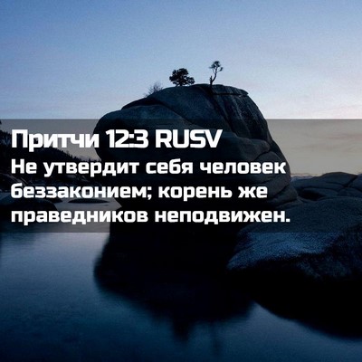 Picture 02 - Притчи 12:3 RUSV - Не утвердит себя человек - Bible Verse Picture