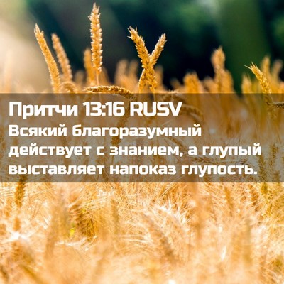 Picture 02 - Притчи 13:16 RUSV - Всякий благоразумный - Bible Verse Picture