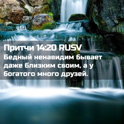 Picture 02 - Притчи 14:20 RUSV - Бедный ненавидим бывает - Bible Verse Picture