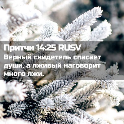 Picture 02 - Притчи 14:25 RUSV - Верный свидетель спасает - Bible Verse Picture