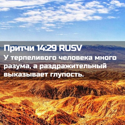 Picture 02 - Притчи 14:29 RUSV - У терпеливого человека - Bible Verse Picture