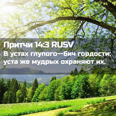 Picture 02 - Притчи 14:3 RUSV - В устах глупого--бич - Bible Verse Picture