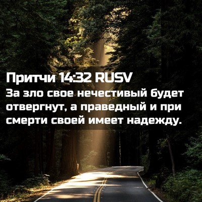 Picture 02 - Притчи 14:32 RUSV - За зло свое нечестивый - Bible Verse Picture