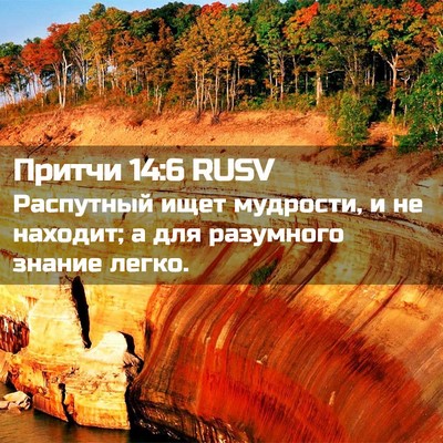 Picture 02 - Притчи 14:6 RUSV - Распутный ищет мудрости, и - Bible Verse Picture