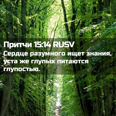 Picture 02 - Притчи 15:14 RUSV - Сердце разумного ищет - Bible Verse Picture