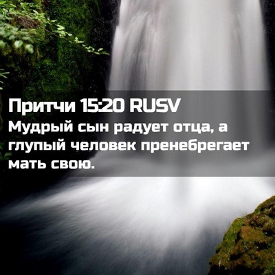 Picture 02 - Притчи 15:20 RUSV - Мудрый сын радует отца, а - Bible Verse Picture