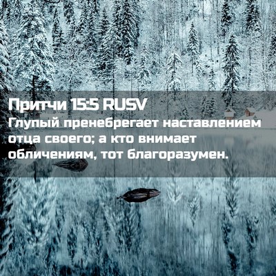 Picture 02 - Притчи 15:5 RUSV - Глупый пренебрегает - Bible Verse Picture