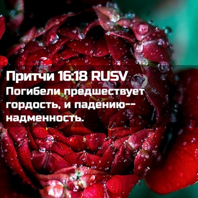 Picture 02 - Притчи 16:18 RUSV - Погибели предшествует - Bible Verse Picture