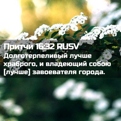 Picture 02 - Притчи 16:32 RUSV - Долготерпеливый лучше - Bible Verse Picture