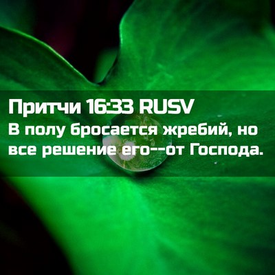Picture 02 - Притчи 16:33 RUSV - В полу бросается жребий, но - Bible Verse Picture