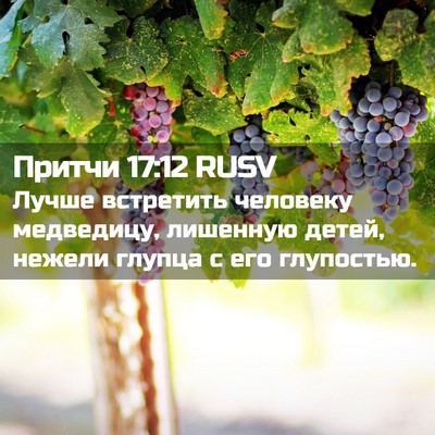 Picture 02 - Притчи 17:12 RUSV - Лучше встретить человеку - Bible Verse Picture