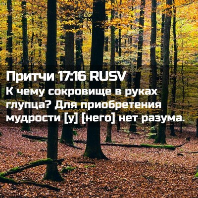 Picture 02 - Притчи 17:16 RUSV - К чему сокровище в руках - Bible Verse Picture