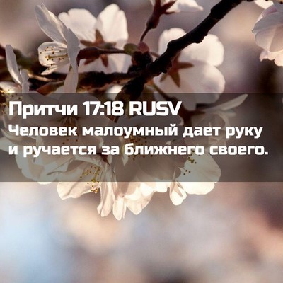 Picture 02 - Притчи 17:18 RUSV - Человек малоумный дает - Bible Verse Picture