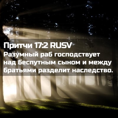 Picture 02 - Притчи 17:2 RUSV - Разумный раб господствует - Bible Verse Picture