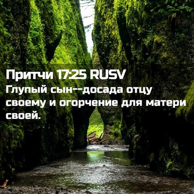Picture 02 - Притчи 17:25 RUSV - Глупый сын--досада отцу - Bible Verse Picture