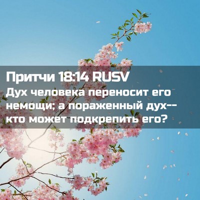 Picture 02 - Притчи 18:14 RUSV - Дух человека переносит его - Bible Verse Picture