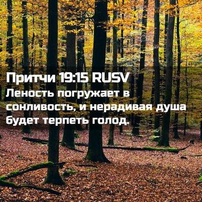 Picture 02 - Притчи 19:15 RUSV - Леность погружает в - Bible Verse Picture