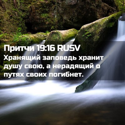 Picture 02 - Притчи 19:16 RUSV - Хранящий заповедь хранит - Bible Verse Picture