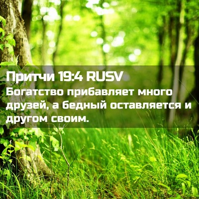 Picture 02 - Притчи 19:4 RUSV - Богатство прибавляет - Bible Verse Picture