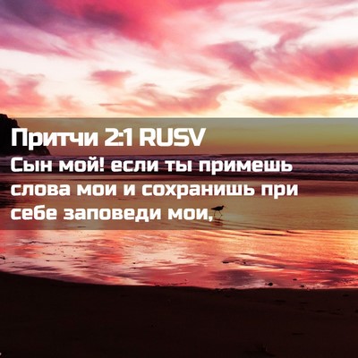 Picture 02 - Притчи 2:1 RUSV - Сын мой! если ты примешь - Bible Verse Picture