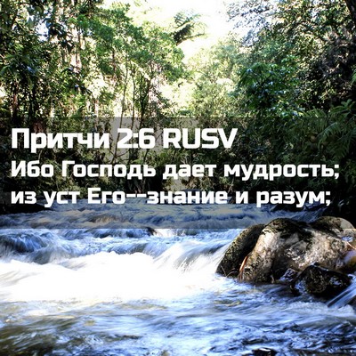 Picture 02 - Притчи 2:6 RUSV - Ибо Господь дает мудрость; - Bible Verse Picture