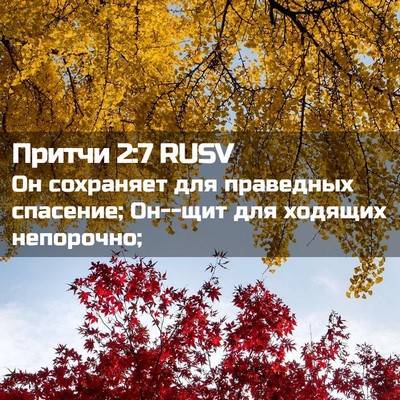 Picture 02 - Притчи 2:7 RUSV - Он сохраняет для праведных - Bible Verse Picture