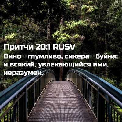 Picture 02 - Притчи 20:1 RUSV - Вино--глумливо, - Bible Verse Picture