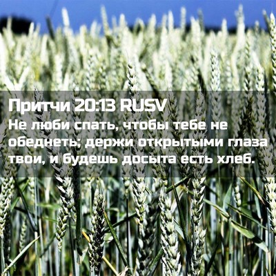 Picture 02 - Притчи 20:13 RUSV - Не люби спать, чтобы тебе - Bible Verse Picture