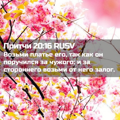 Picture 02 - Притчи 20:16 RUSV - Возьми платье его, так как - Bible Verse Picture