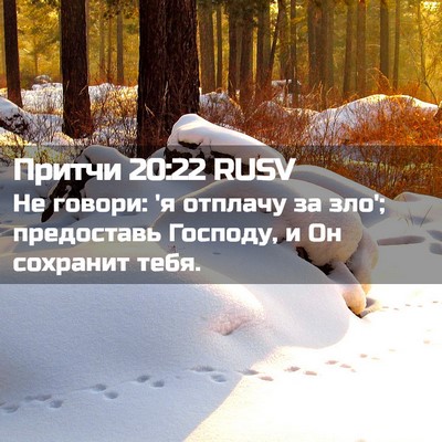Picture 02 - Притчи 20:22 RUSV - Не говори: 'я отплачу за - Bible Verse Picture