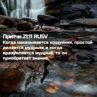 Picture 02 - Притчи 21:11 RUSV - Когда наказывается - Bible Verse Picture