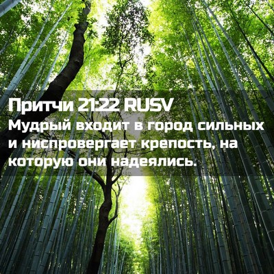 Picture 02 - Притчи 21:22 RUSV - Мудрый входит в город - Bible Verse Picture