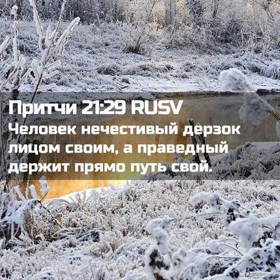 Picture 02 - Притчи 21:29 RUSV - Человек нечестивый дерзок - Bible Verse Picture