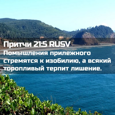 Picture 02 - Притчи 21:5 RUSV - Помышления прилежного - Bible Verse Picture