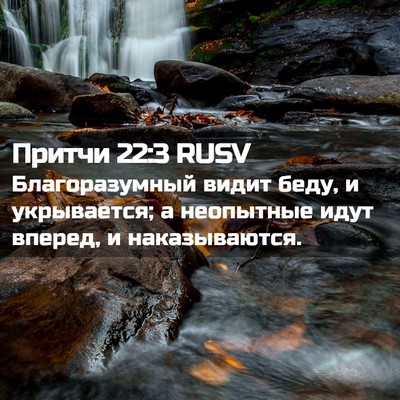 Picture 02 - Притчи 22:3 RUSV - Благоразумный видит беду, - Bible Verse Picture