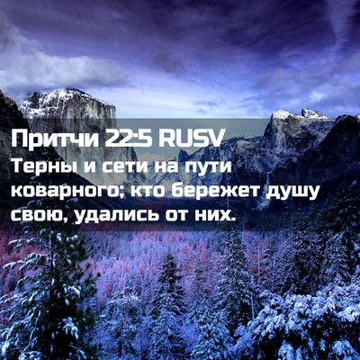 Picture 02 - Притчи 22:5 RUSV - Терны и сети на пути - Bible Verse Picture