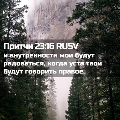 Picture 02 - Притчи 23:16 RUSV - и внутренности мои будут - Bible Verse Picture