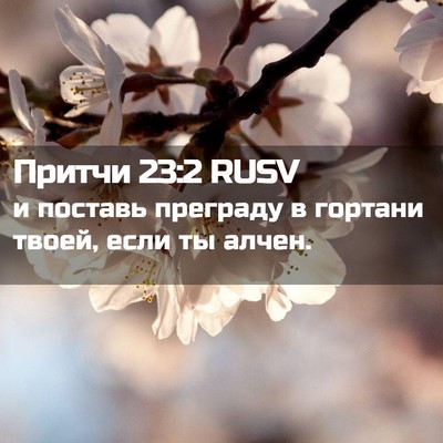 Picture 02 - Притчи 23:2 RUSV - и поставь преграду в - Bible Verse Picture