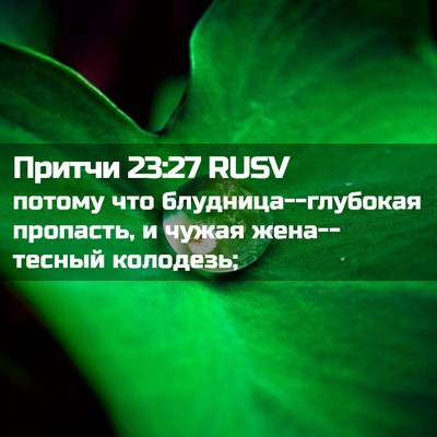 Picture 02 - Притчи 23:27 RUSV - потому что - Bible Verse Picture