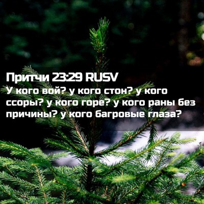 Picture 02 - Притчи 23:29 RUSV - У кого вой? у кого стон? у - Bible Verse Picture