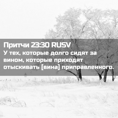 Picture 02 - Притчи 23:30 RUSV - У тех, которые долго сидят - Bible Verse Picture